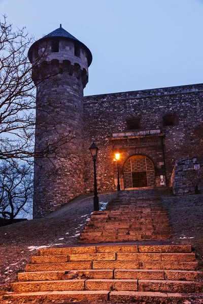 Royal Palace at winter evening — Stock Photo, Image