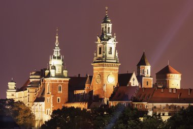 Wawel Royal Castle and Cathedral 