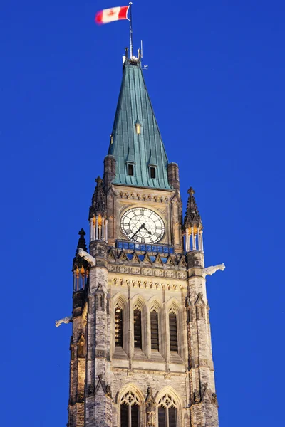 Fred Tower i Ottawa — Stockfoto