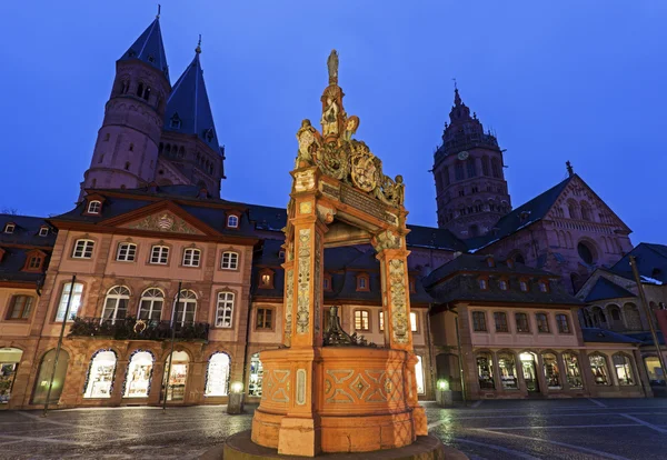 Mainzer Dom St.Martin 및 시장 잘 — 스톡 사진