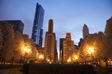 Millennium Parkı'ndan görülen Chicago mimarisi