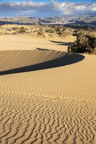 Sanddünen in Maspalomas — Stockfoto