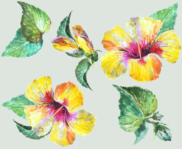 Sorunsuz bir çiçek süsleme, şık modern arka plan — Stok Vektör