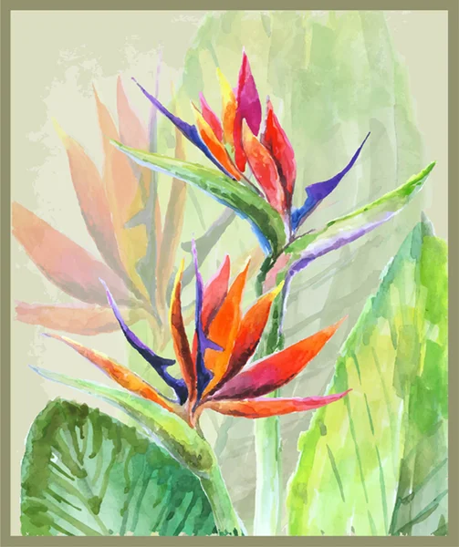 Grußkarte mit Paradiesvogel Blumen. Illustration tropisch — Stockvektor