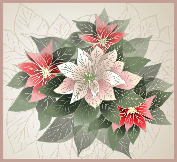 Tarjeta de Navidad. Ilustración Flor de Poinsettia (estrella de Navidad ). — Archivo Imágenes Vectoriales