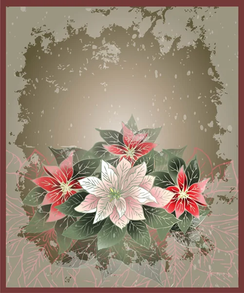 Tarjeta de Navidad. Ilustración Flor de Poinsettia (Navidad sta — Archivo Imágenes Vectoriales