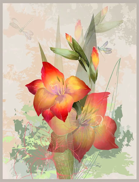 Wenskaart met gladiolen. Illustratie gladiolen en draak — Stockvector