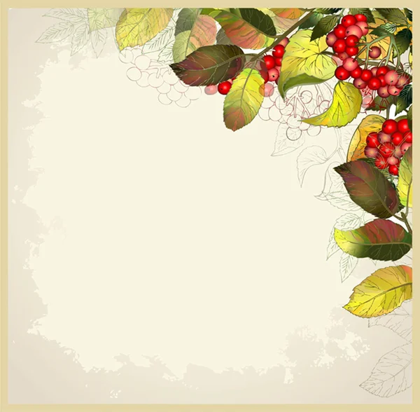 Greeting card with autumn berries and leaves. Autumn illustratio — Stock Vector