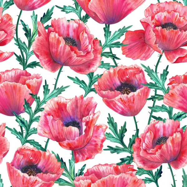 Sömlöst mönster med röda vallmo. Färgglada blommor. Akvarell handritad illustration isolerad på vit bakgrund. Textur för tryck, tyg, textil, tapet. — Stockfoto