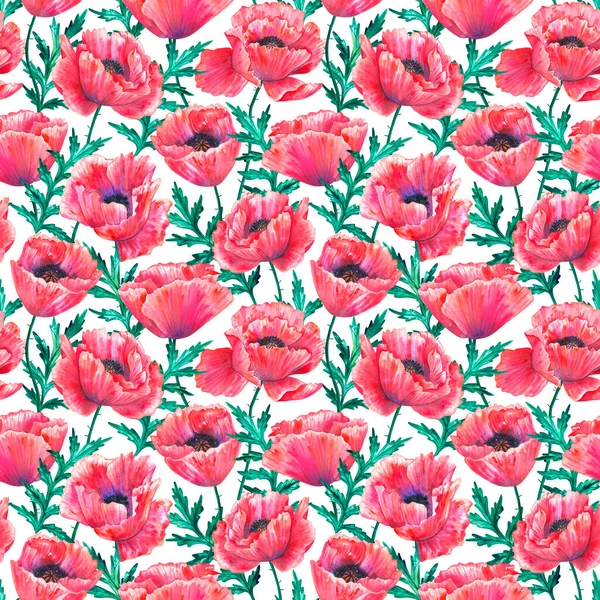Nahtloses Muster mit rotem Mohn. Bunte Blumen. Aquarell gezeichnete Illustration isoliert auf weißem Hintergrund. Textur für Druck, Stoff, Textil, Tapete. — Stockfoto