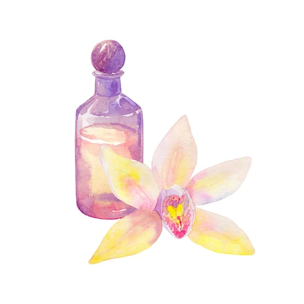Composição com óleo essencial em garrafa e flor de orquídea. ilustração aquarela desenhada à mão. Isolado sobre fundo branco. — Fotografia de Stock