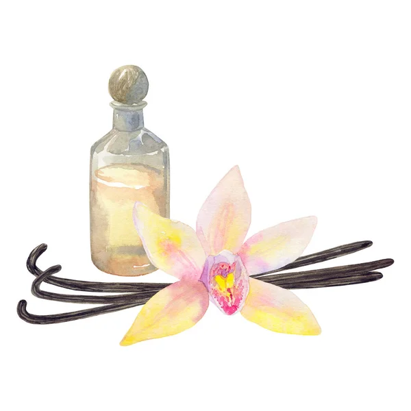 Composition with essential oil in bottle, vanilla flower and sticks. Hand drawn watercolor illustration. Isolated on white background. — Stock Photo, Image