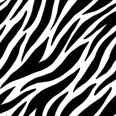 Beyaz üzerinde soyut siyah çizgiler olan kusursuz bir desen. Zebra hayvan derisi taklidi. Baskı, kumaş, tekstil, duvar kağıdı dokusu.