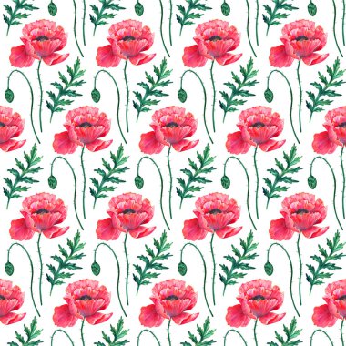 Kırmızı gelincik çiçekleriyle kusursuz desen. Suluboya papaz. Yeşil saplar ve yapraklar. El çizimi botanik çizimi. Beyaza. Baskı, kumaş, tekstil, duvar kağıdı dokusu.