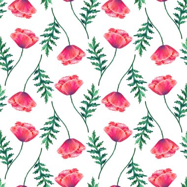 Kırmızı gelincik çiçekleriyle kusursuz desen. Suluboya papaz. Yeşil saplar ve yapraklar. El çizimi botanik çizimi. Beyaza. Baskı, kumaş, tekstil, duvar kağıdı dokusu.