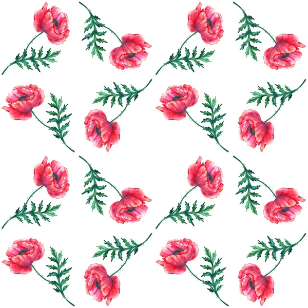 Kırmızı gelincik çiçekleriyle kusursuz desen. Suluboya papaz. Yeşil saplar ve yapraklar. El çizimi botanik çizimi. Beyaza. Baskı, kumaş, tekstil, duvar kağıdı dokusu. — Stok fotoğraf