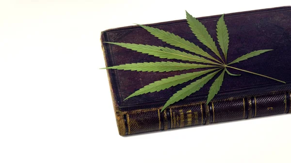 Libro Antico Foglia Cannabis Erbario Una Pianta Medicinale — Foto Stock