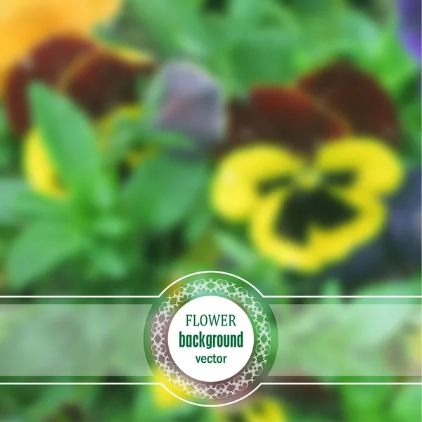 花卉的模糊的照片背景 — 图库矢量图片