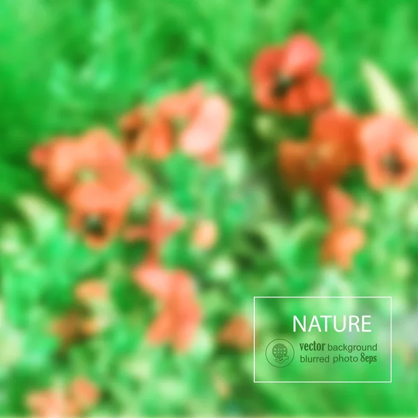 Floral wazig Foto-achterwand — Stockvector