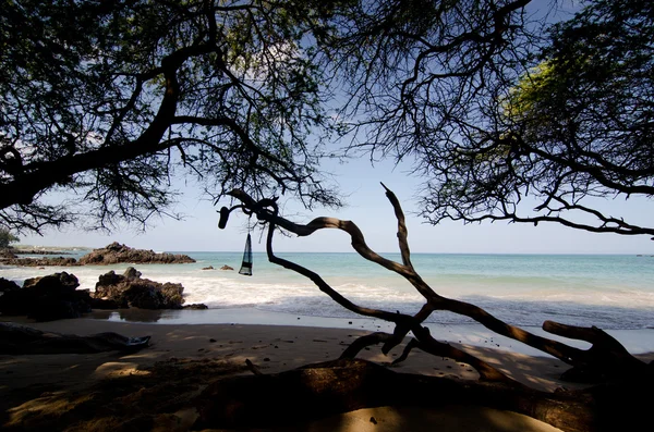 Morning swim at Puako Beach — Stock Photo, Image