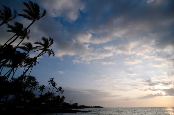 Palmeiras de Anaehoomalu Beach durante o pôr do sol Imagens De Bancos De Imagens