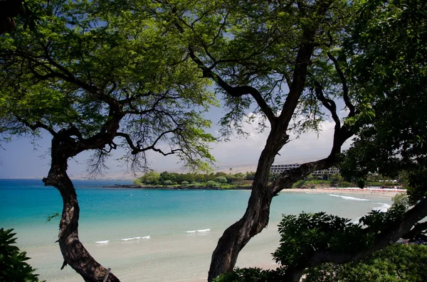 Serenity Mauna Kea Beach, Big Island