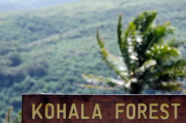 Wejścia do rezerwatu leśnego Kohala, w pobliżu doliny Pololu — Zdjęcie stockowe