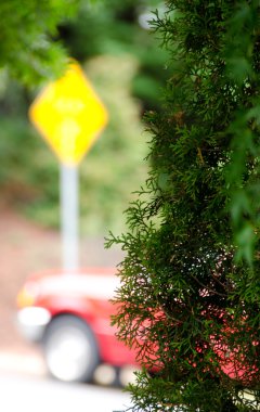 Sarı trafik işaret ve kırmızı kamyonet