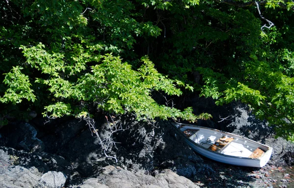 Vit roddbåt gömmer sig i buskarna nära Oak Bay — Stockfoto