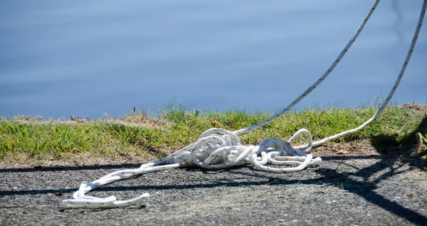 Nylon white ropes in Oak Bay marina