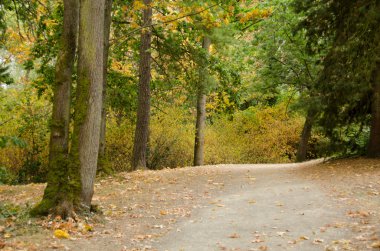 Koruyucu Adası iz geç Ağustos ayında