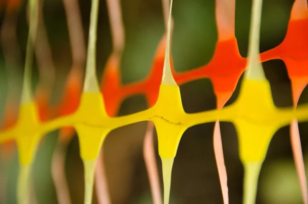 Крупним планом помаранчевий і жовтий пластиковий паркан Стокове Фото