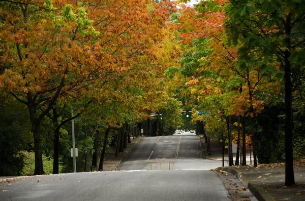 Pusta Ulica Redmond Niedaleko Kampusu Wczesną Jesienią — Zdjęcie stockowe