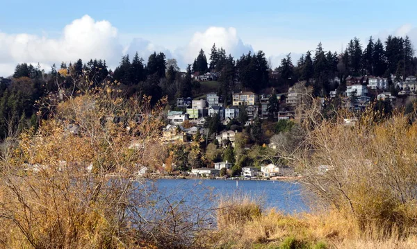 Barrios Densos Construidos Las Colinas Norte Bahía Juanita Kirkland Washington — Foto de Stock