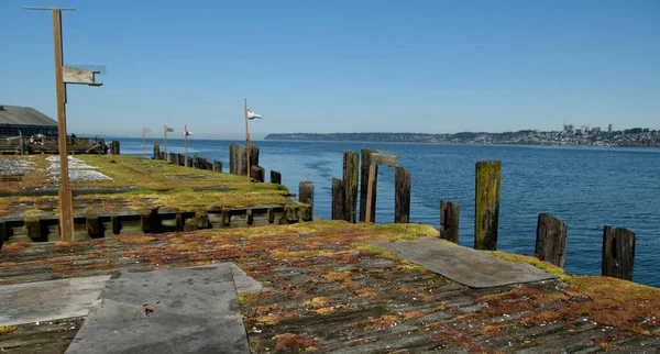 Rustic Plover Ferry Pier Semiahmoo Bay Blaine Whatcom — Foto de Stock