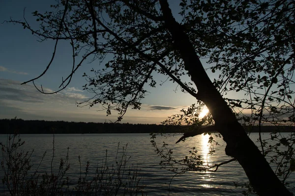 Nightfall Sobre Lago Sammamish Perto Landing Marymoor Estado Washington — Fotografia de Stock