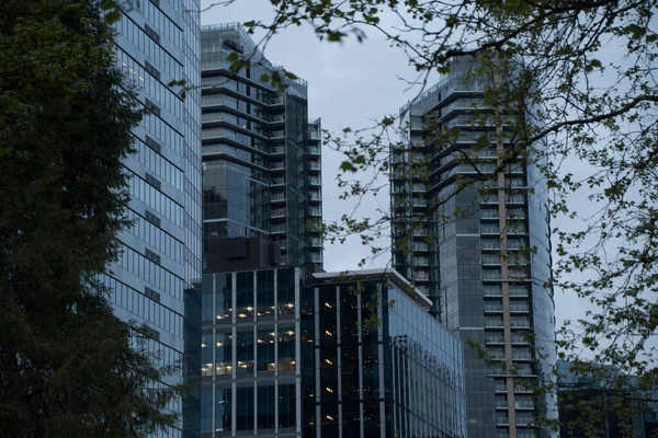 Atardecer Sobre Rascacielos Condominios Bellevue Downtown Eastside Washington — Foto de Stock