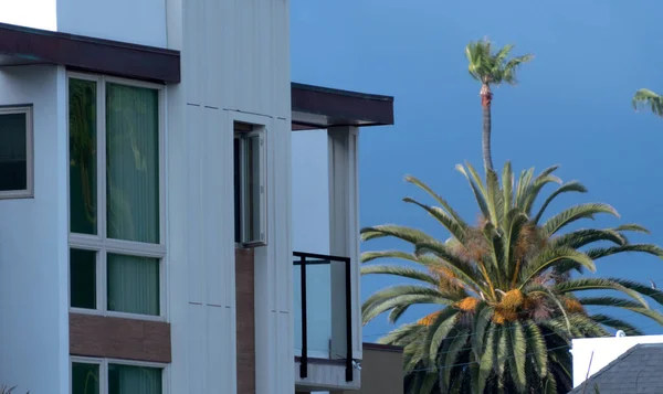 White Building Mission Beach Glass Balcony Tall Windows Palm Tree — Stock Photo, Image