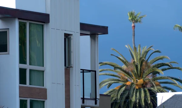 Mission Beach 'teki beyaz bina, cam balkon, uzun pencereler ve yanındaki palmiye ağacı, Pasifik Plajı, San Diego