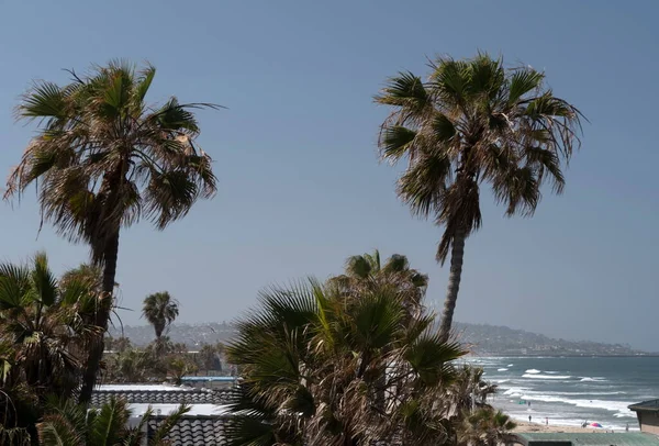 Palms Roofs Pacific Beach Coastline Surf Background San Diego — Stock Photo, Image