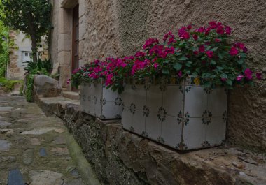 Sabırsızlık çiçek kutuları bir sokakta eski şehir, Tossa de Mar
