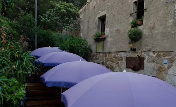 Ряд фіолетових парасольок в невеликому ресторані у фортеці Тос — стокове фото