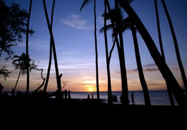 Anaeho'omalu Plajı'nda günbatımı watchers