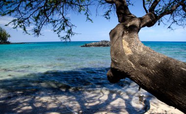 plaj 69 taşlara ulaşan Ironwood Şube