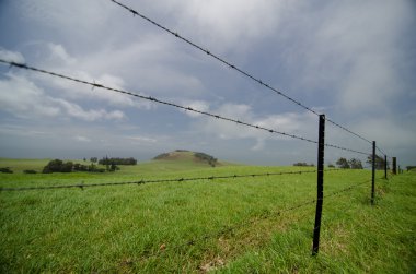Barbed wired fence at a farm near Kohala Mountain Road clipart