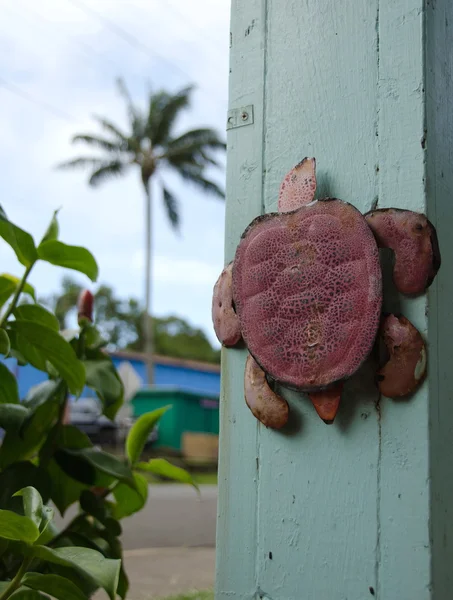 Tartaruga enferrujada em Kapaau — Fotografia de Stock