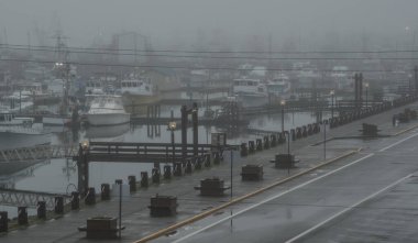 2025 'in ilk kral dalgası sırasında Westport Marina' nın üzerine sisli bir kış sabahı çöker ve balıkçı tekneleri ve liman yapılarının ana hatlarını yumuşatır. Sakin su, sessiz tonlar ve parlayan rıhtım ışıkları Pasifik Kuzeyinin sessiz güzelliğini yansıtıyor.