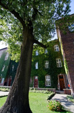 Wawel Royal Castle iç avlu
