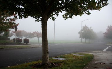 Sonbahar sisin içinde Redmond sessiz kavşak