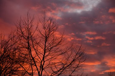 Seattle yakın dramatik günbatımı